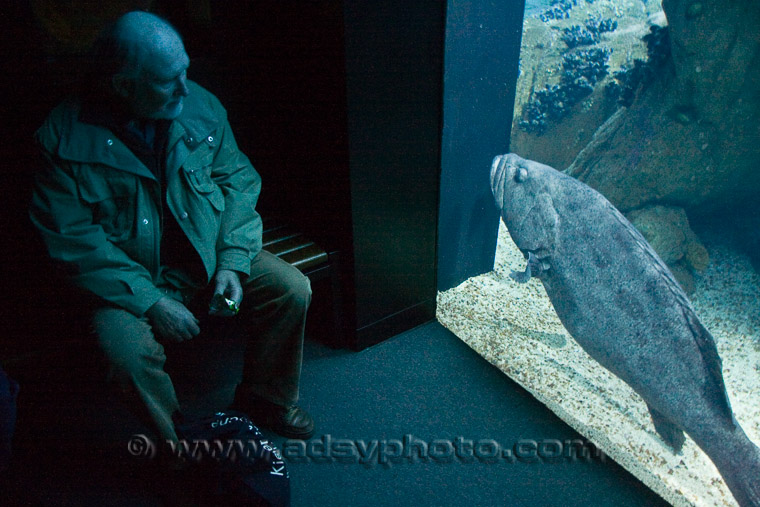 Adsy Bernart Fotograf Reisefotografie Portugal Lissabon Ozenarium Aquarium auch Oceanario in portugisisch genannt