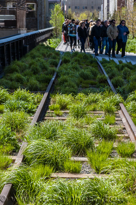 Adsy Bernart Fotograf Reisefotografie New York  USA  High Line Park Garden on former Subway trail
 