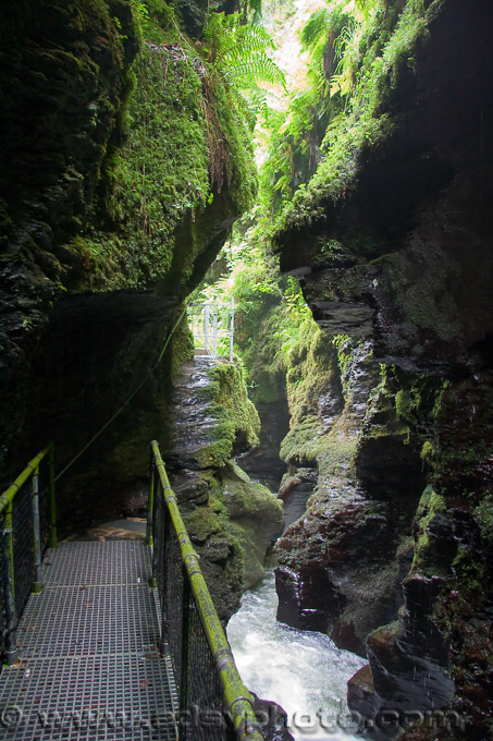 Adsy Bernart Fotograf Reisefotografie Grossbritanien Lydford Gorge Teufelskessel Wanderweg England